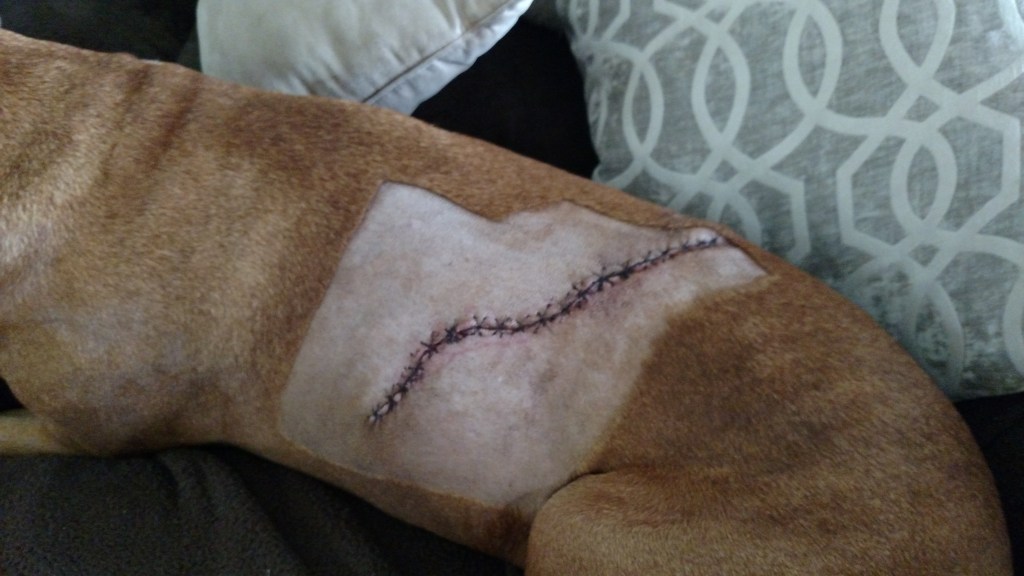 IMG_20170707_150531850