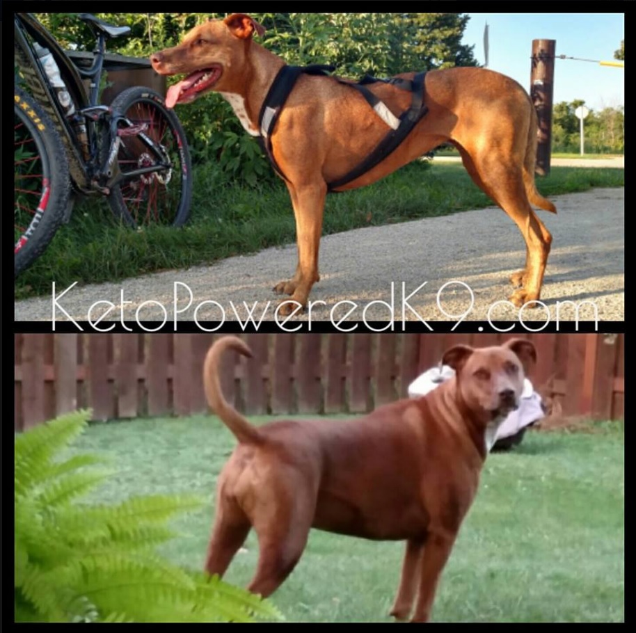 emiebeforeandafter2019