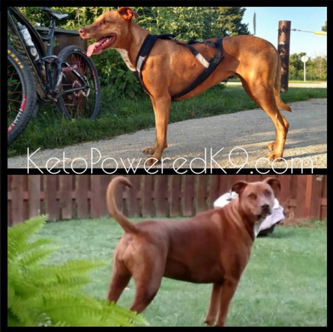 emiebeforeandafter2019