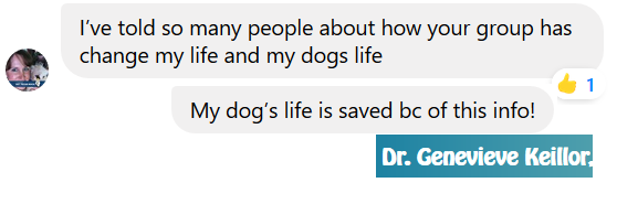 51663314_304323816893943_4878926438431981568_n