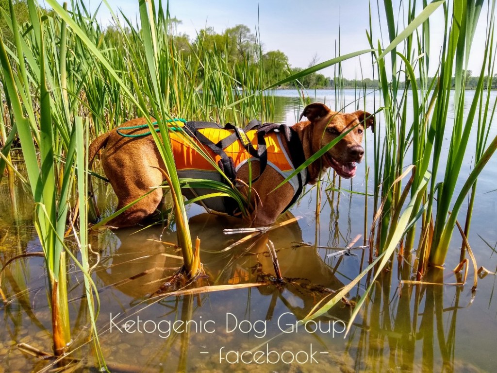 WaterMark_2019-05-19-05-44-52