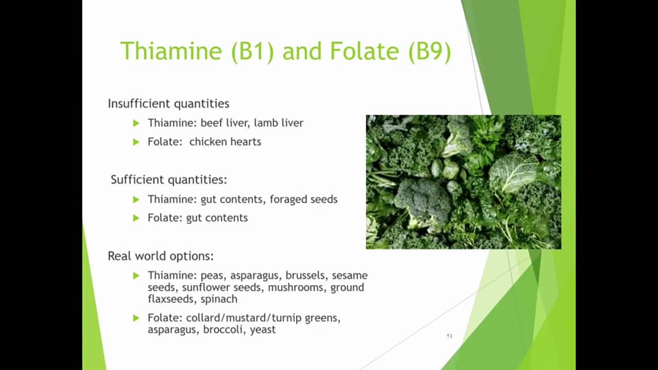 folate and thiamine sources