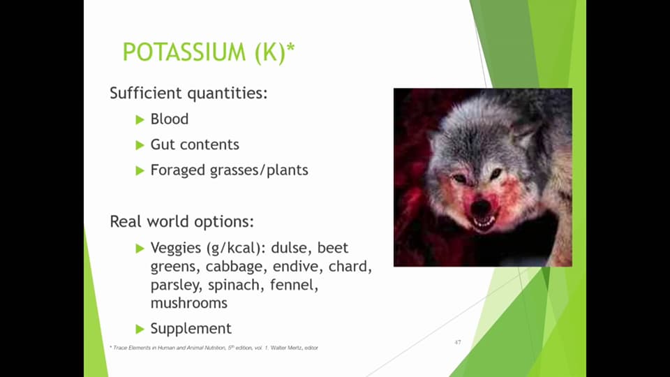 potassium sources