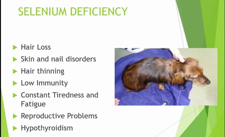Selenium deficiency