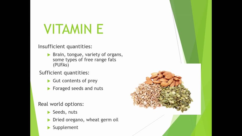 vitamin E sources