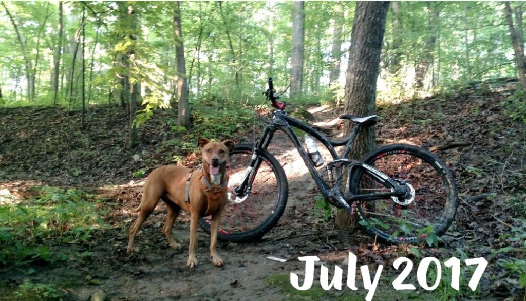 67152927_10217021443482742_1565243205450989568_o