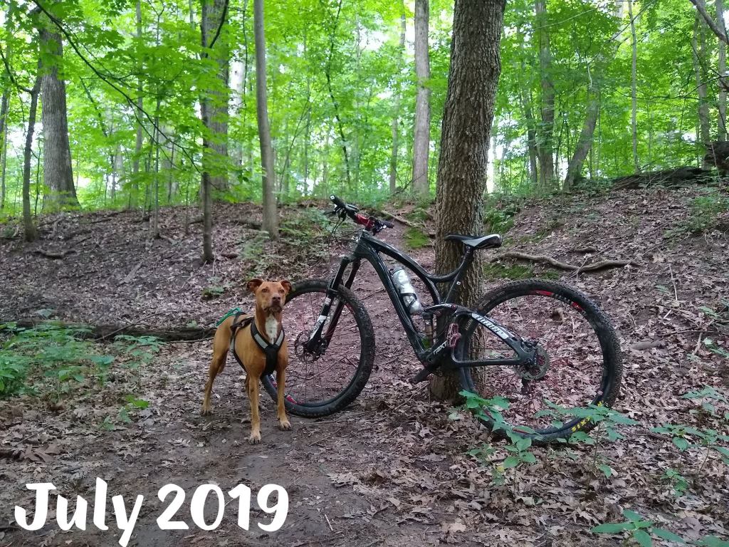 67199915_10217021442082707_7537558675519438848_o