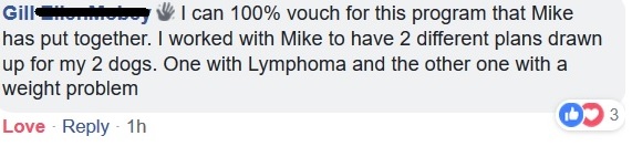 GillMobey-mealplanTestimonial