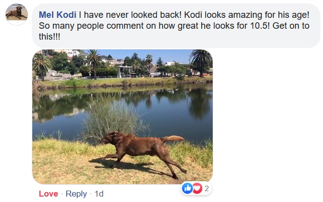 MelCpart2testimonial