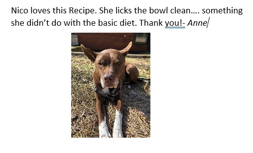 Anne_chen_Nico_lovesTheRecipe