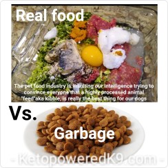 realvsGarbage
