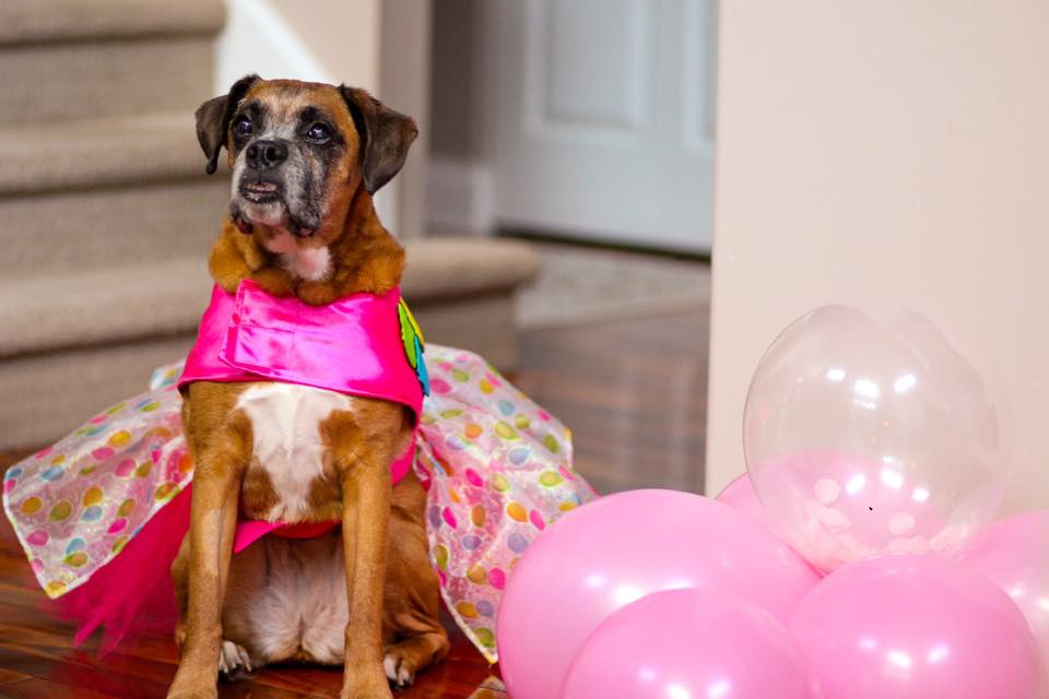 116000578_1431595013698942_3175697896220147535_n