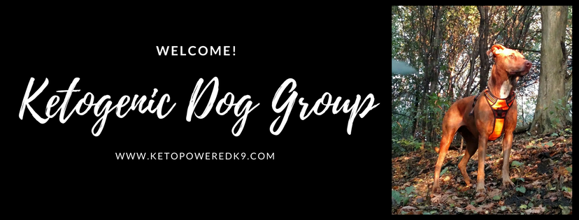 KETOGENIC BANNER LOGO