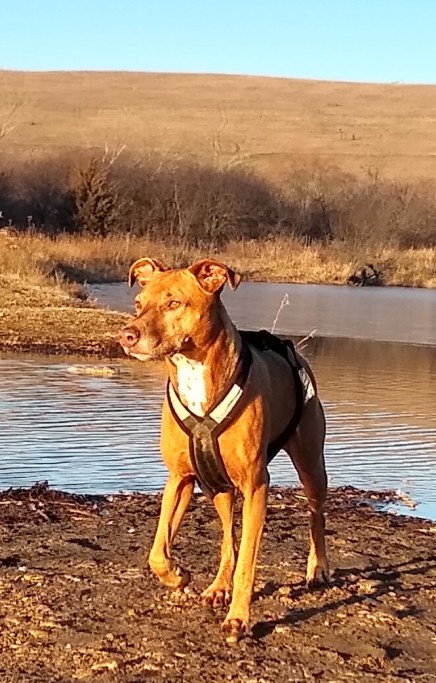 IMG_20201209_080646558_HDR~2