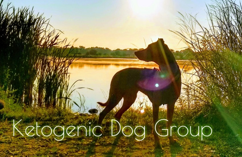 67619537_10217112431877395_5509625188800528384_n