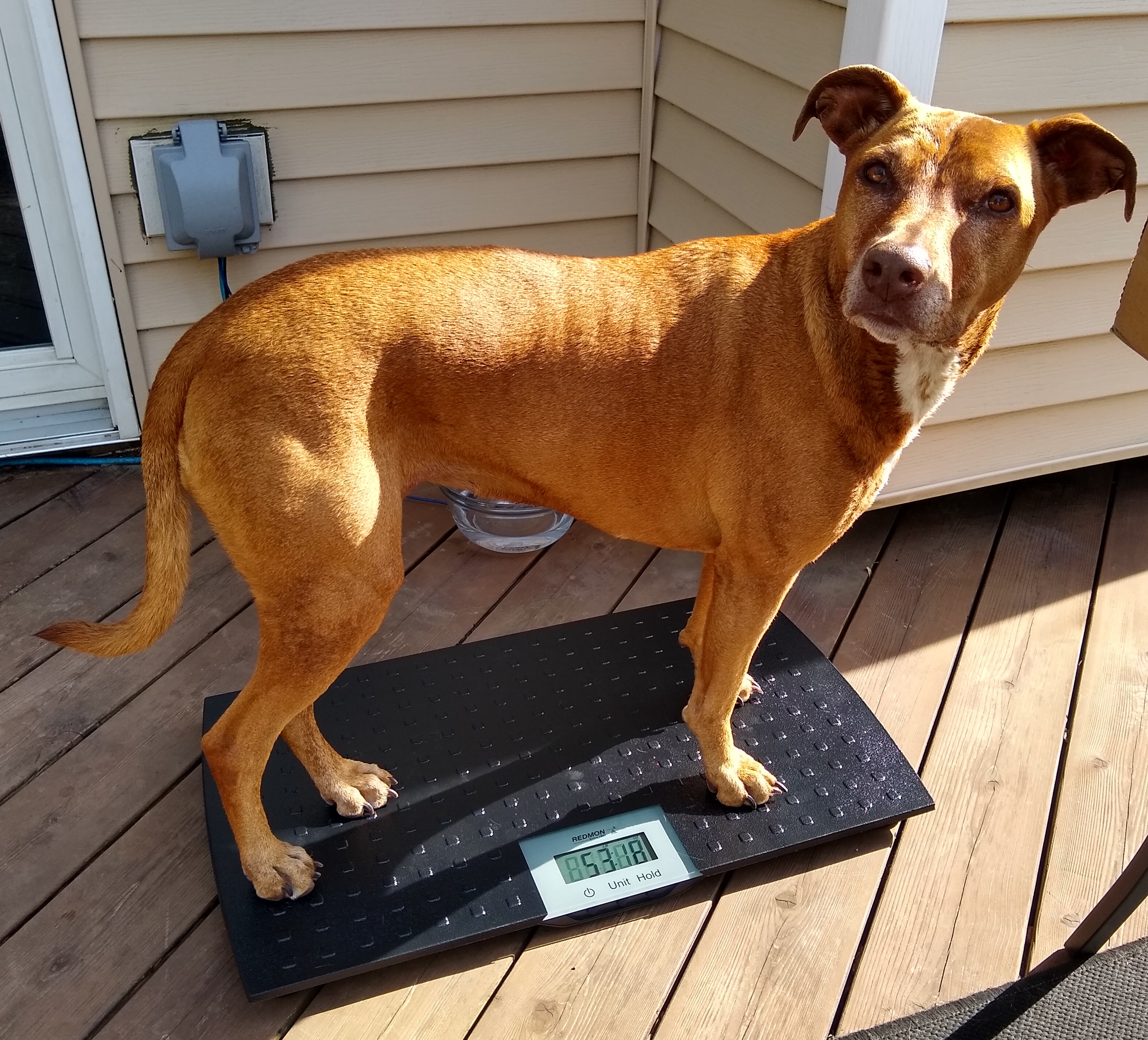 IMG_20210606_170441735_HDR~2(1)