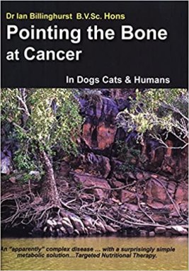 pointingtheboneatcancer