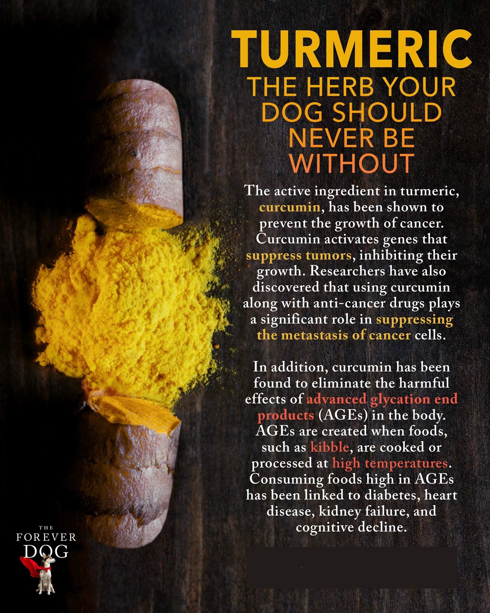 turmericInfoGraphicTFD