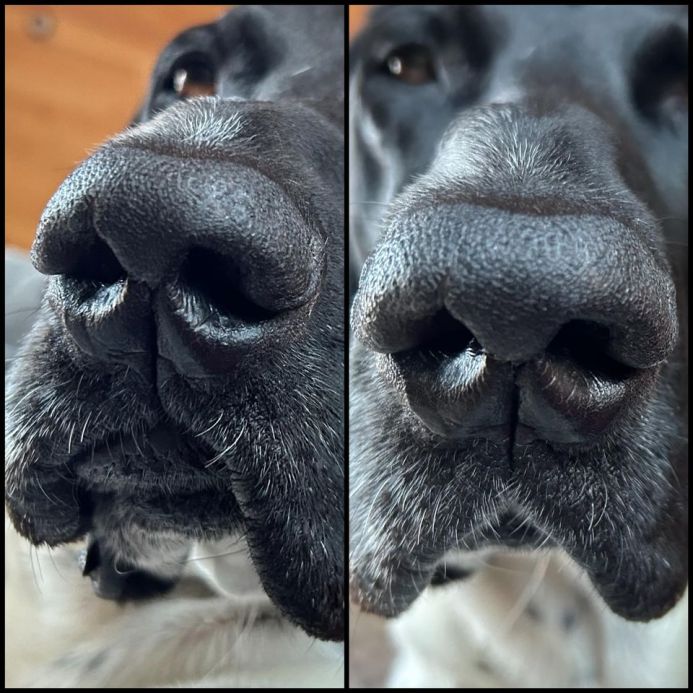 kristieburnettDriversnoseHEAL