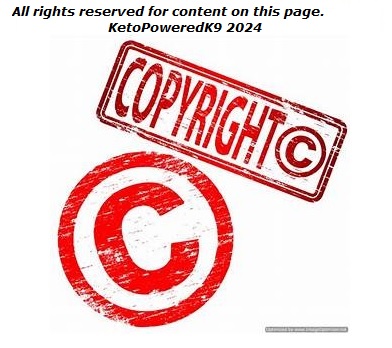 copyright2024